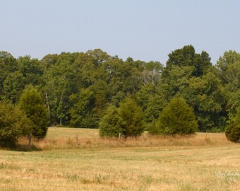 Well-Kept Pasture | Rural Americana Landscape Wall Art