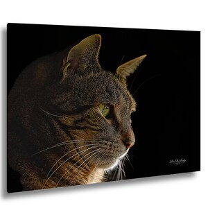 May include: A close-up portrait of a cat with green eyes and brown and gray fur. The cat is facing right, with its profile visible against a black background. The image is well-lit, highlighting the cat's features.