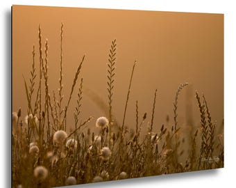 Amber Dandelion Sunrise on Jordan Lake Dam | Nature Photography Print | Inspirational Wall Art