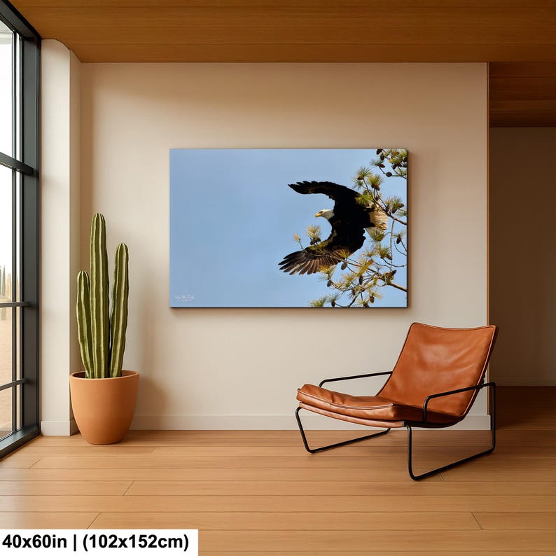 May include: A rectangular canvas print depicting a bald eagle in flight against a blue sky. The eagle, with its dark brown and white plumage, is captured mid-flight near a tree with green foliage. The artwork is 102x152cm.