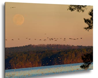 Winter Moonset Over Jordan Lake with Gulls and Cormorants – Peaceful Nature Wall Art Print