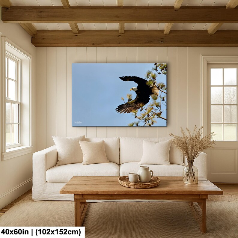 May include: A framed canvas print showing a bald eagle in flight against a blue sky. The eagle, with its dark brown body and white head, is perched on a tree branch. The artwork measures 102x152cm.