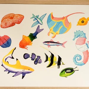 Peut inclure: Illustration à l'aquarelle de divers poissons colorés, dont un requin, un hippocampe et une raie. L'œuvre présente une palette vibrante de bleus, jaunes, oranges et verts. Le texte en bas indique "QUEER FISH (A4, A3)".