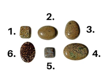 Dinosaur Bone Cabochon (select one)