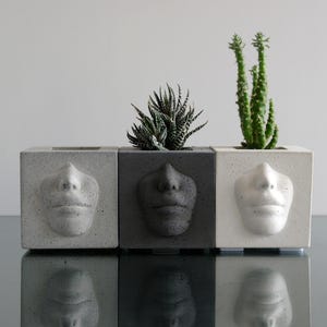 Può includere: Tre fioriere quadrate nei toni del grigio, ognuna con un volto scolpito. Le fioriere contengono piccole piante grasse e cactus. Il design è moderno e minimalista, adatto per interni o esterni.