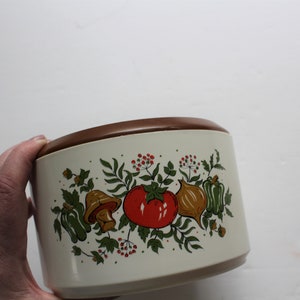 Vintage Vegetable Pattern Plastic Sterlite Canister 1970s