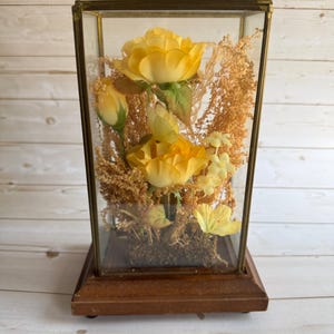 Vintage mässingsram i glas, kuriosadisplay med konstgjorda blommor och taxidermifjäril på träbas 1970-talet