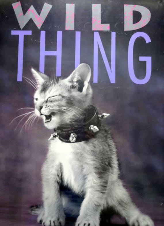 【CAT】　vintage poster Vintage Framed Wild Thing Kitten Wall Poster 1990 - Etsy