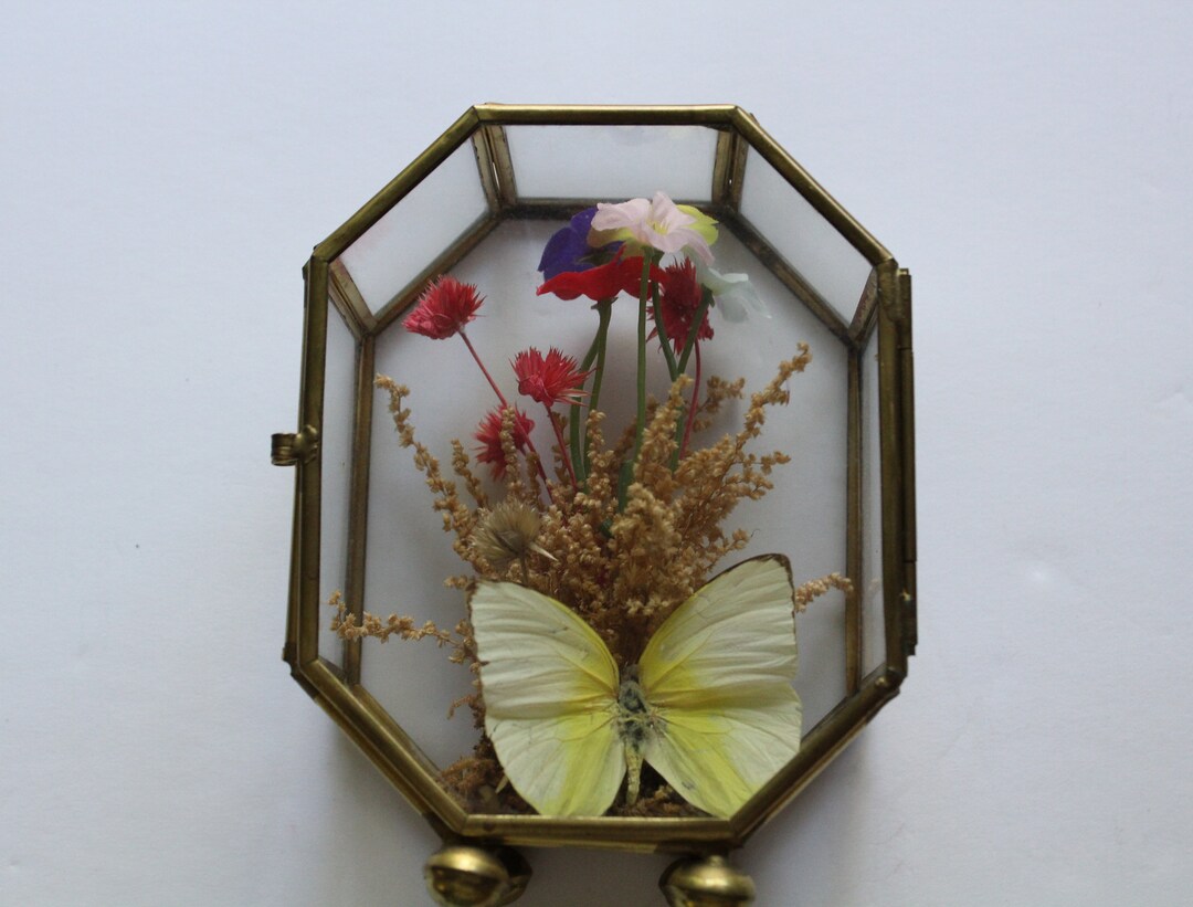 Vintage Brass Frame Glass Curio Display Box With Dried Flowers Etsy