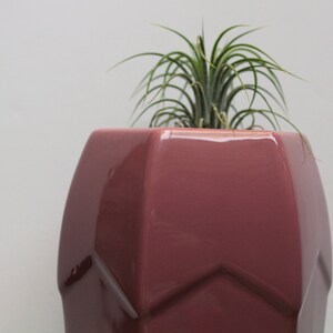 Puede incluir: Una maceta de cerámica geométrica rosa con una planta de aire verde creciendo dentro.