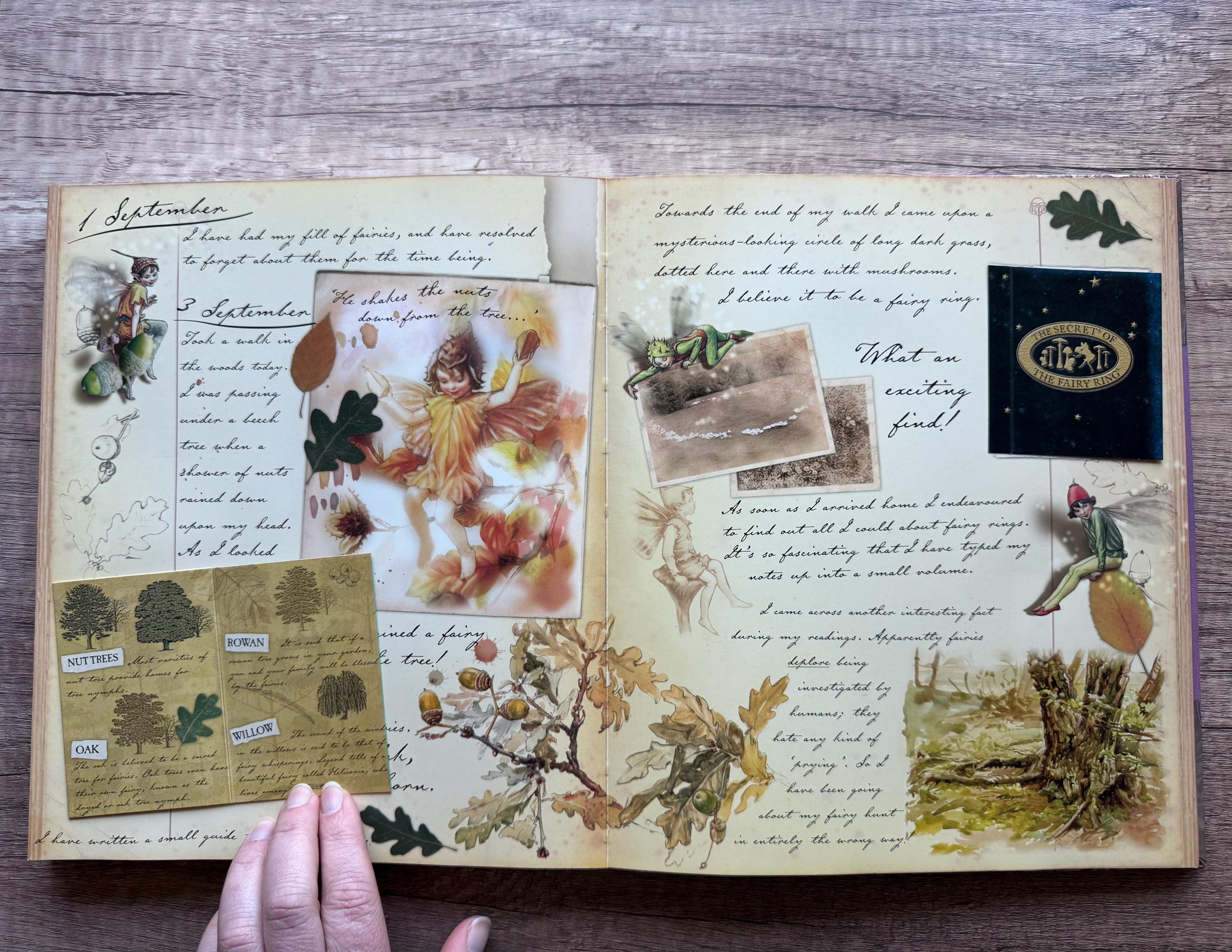 Vintage Fairyopolis A Flower Fairies Journal Book 2005 - Etsy