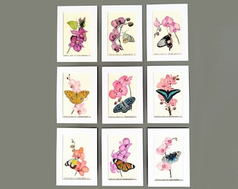 ORIGINAL Watercolor Art, matted to 5x7, FREE SHIPPING! Butterfly and Orchid, Southeast Asia Botanical Studies, 9 available