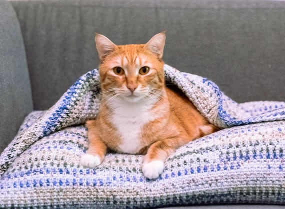 PDF Crochet Pillow Pet Bed W blanket Pattern Etsy