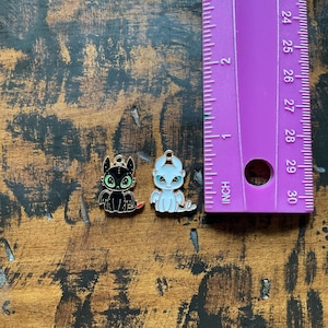 Peut inclure: Deux breloques en émail représentant des personnages du film "Dragons". L'une est noire avec des yeux verts et un accent rouge, l'autre est blanche avec des yeux bleus. Une règle violette est à côté des breloques, mesurant en pouces.