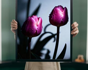 Purple Tulip Photography Print – Modern Floral Wall Art (Digital Download)