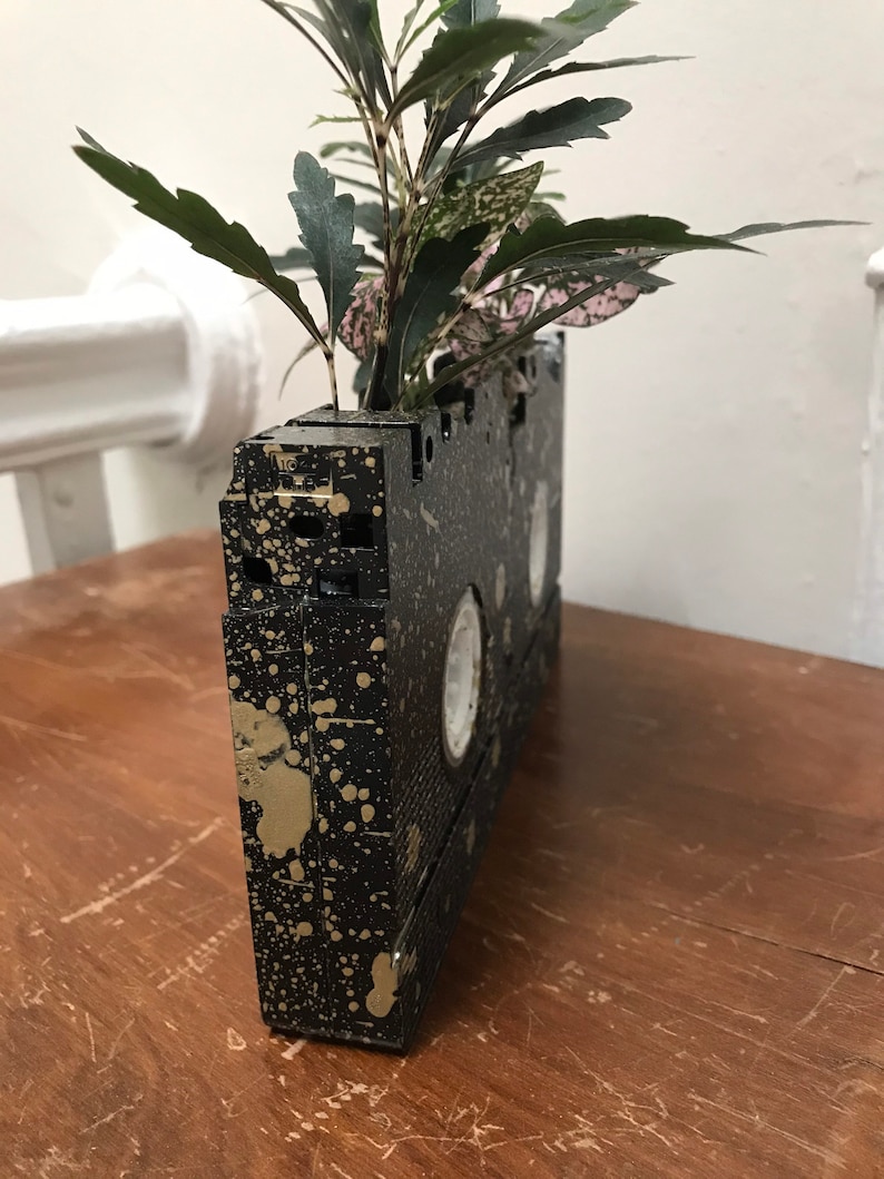 Pu&ograve; includere: Un vaso da fiori a forma di cassetta VHS nera con schizzi di vernice dorata, che contiene due piante verdi con foglie rosa e bianche.