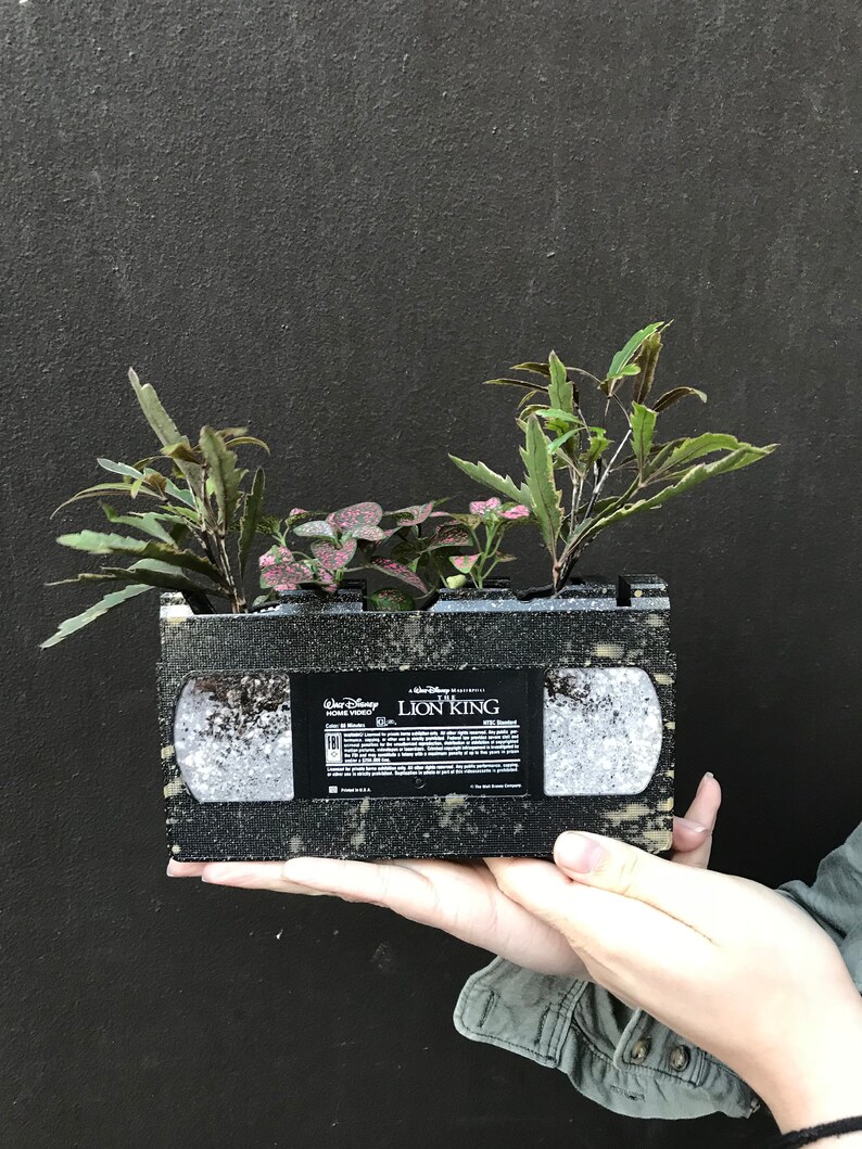 Pu&ograve; includere: Un vaso da fiori nero a forma di videocassetta VHS con il titolo "Il Re Leone" sull'etichetta. Il vaso &egrave; riempito con ghiaia bianca e tre piccole piante crescono fuori da esso.