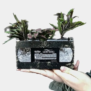 Assorted Disney WB Universal VHS Planters, Recycled VHS tape indoor planter plant holder succulent foliage vhs Lion King Toy Story
