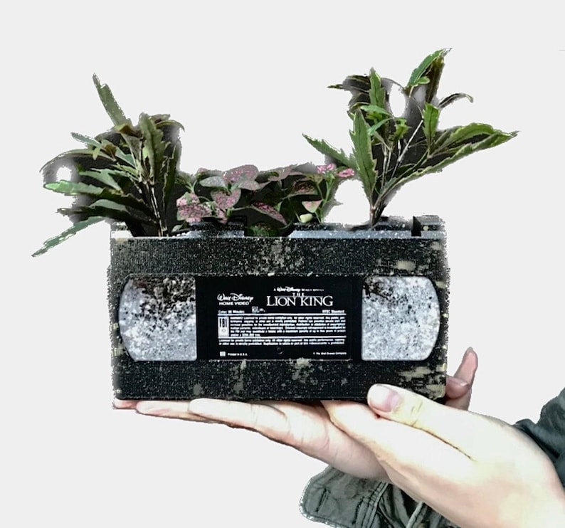 Pu&ograve; includere: Un vaso da fiori nero a forma di videocassetta VHS con un'etichetta che recita "Il Re Leone" e con diverse piante verdi che crescono al suo interno.
