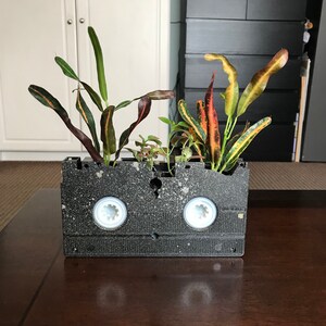 Pu&ograve; includere: Un vaso da fiori a forma di cassetta VHS nero e grigio con una variet&agrave; di piante verdi che crescono fuori. Le piante hanno foglie verdi, gialle e rosse.