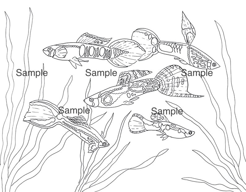 Handgezeichnete Guppy Malseite 6 Bild 1