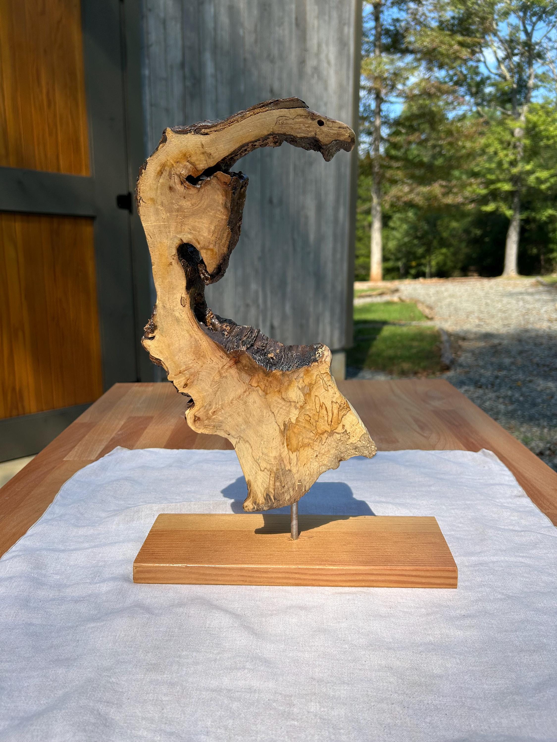 Maple Tree Slice From Forest Floor - Etsy