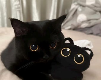 Kawaii Black Cat Plush Toy: Pocket Cuddle Buddy