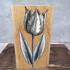 Sello de goma USADO con grabado de tulipán pequeño Ver fotos Hero Arts