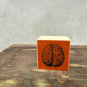 Brain Halloween Rubber Stamp NEW View All Photos