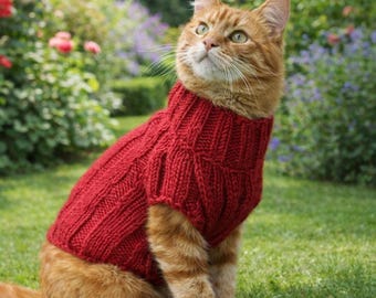 Patrón de punto para suéter de gato en PDF, patrón de ropa para mascotas, jersey fácil para gato, suéter para gato Sphynx, atuendo para mascotas hecho en casa