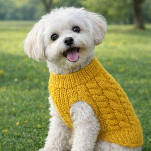 Dog Sweater Knitting Pattern PDF, Cable Knit Dog Jumper, Winter Pet Clothes Pattern, Small & Medium Dog Outfit