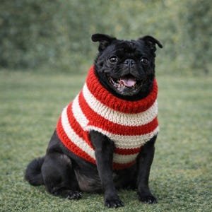 Hundepullover Strickmuster PDF, Mops Pullover Muster, Easy Haustierkleidung, Winter Hunde Outfit, DIY Strickmuster
