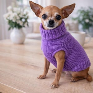 Patrón PDF de suéter de punto para perro / Tallas para perros pequeños / Patrón fácil de suéter de punto para mascotas / Descarga inmediata