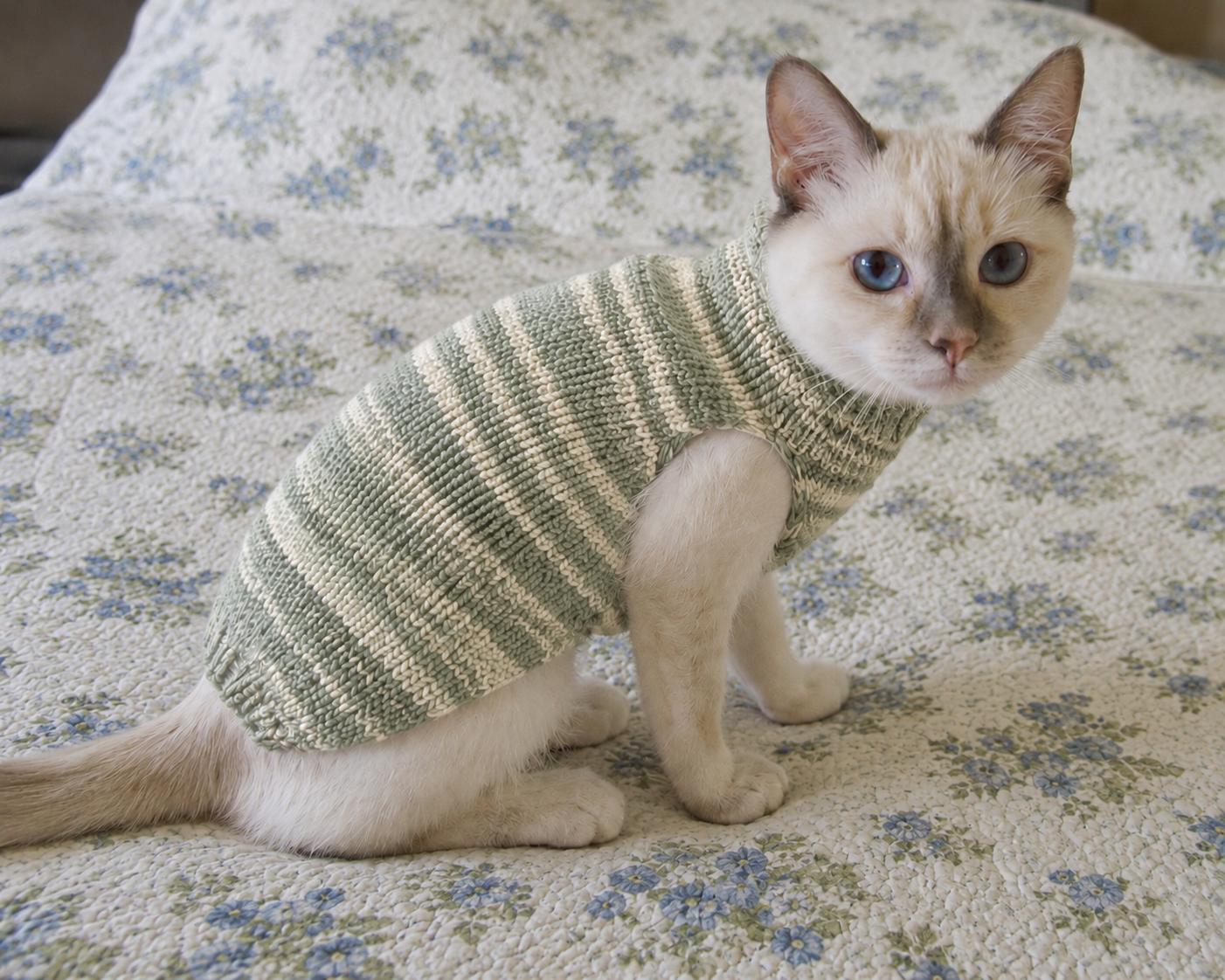 Cat Sweater Knitting Pattern PDF | Easy Pet Sweater Pattern | DPN ...