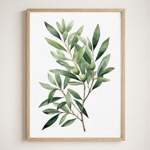 Aquarell-Kunstdruck mit Olivenzweig, botanisches Wandbild in Salbeigrün, minimalistisches mediterranes Wohndekor-Poster