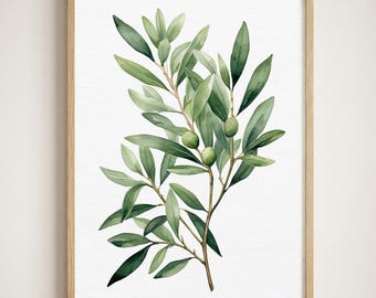 Lámina de acuarela de rama de olivo, arte mural botánico verde salvia, póster de decoración minimalista mediterránea para el hogar.