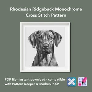 Op de afbeelding: Een ingelijst monochroom kruissteekpatroon met een gedetailleerd portret van een Rhodesian Ridgeback-hond. De afbeelding is in zwart-wit, met de tekst "Rhodesian Ridgeback Monochrome Cross Stitch Pattern" bovenaan. De tekst "PDF file - instant download - compatible with Pattern Keeper & Markup R-XP" staat onderaan.