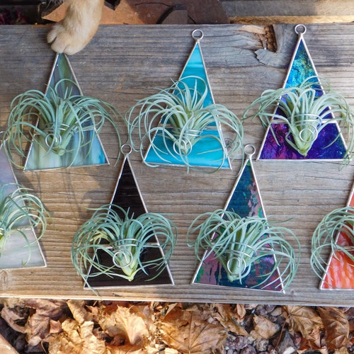 Stained Glass Air Plant Holder Indoor Wall Planter Window Home Etsy