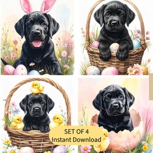 May include: A set of four watercolour illustrations of black Labrador puppies. One wears bunny ears, another sits in a basket with Easter eggs, and a third is with chicks. The fourth puppy is in an eggshell. Text: SET OF 4 Instant Download.