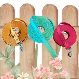 May include: Three rolled dog leashes in yellow, teal, and pink, each with a matching leather handle and silver-tone clasp. The leashes are displayed against a wooden fence backdrop with floral accents.