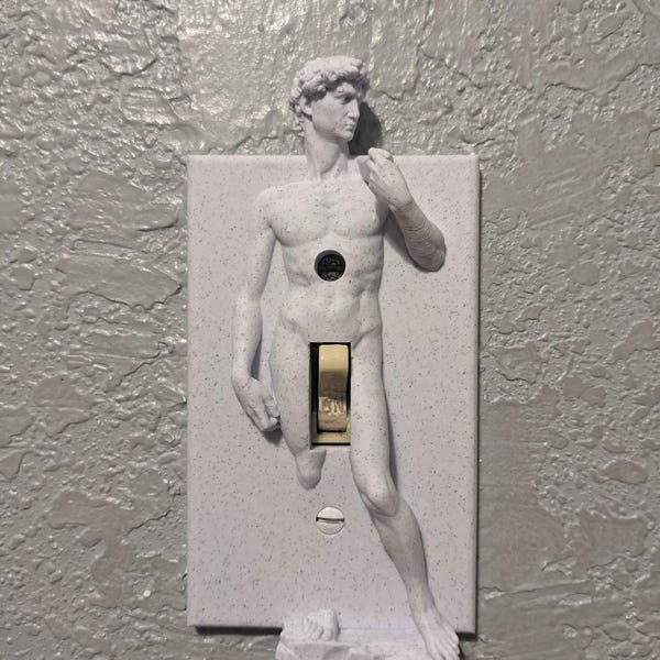 Statue of David Light Switch Cover – Michelangelo Art Parody Bathroom Decor