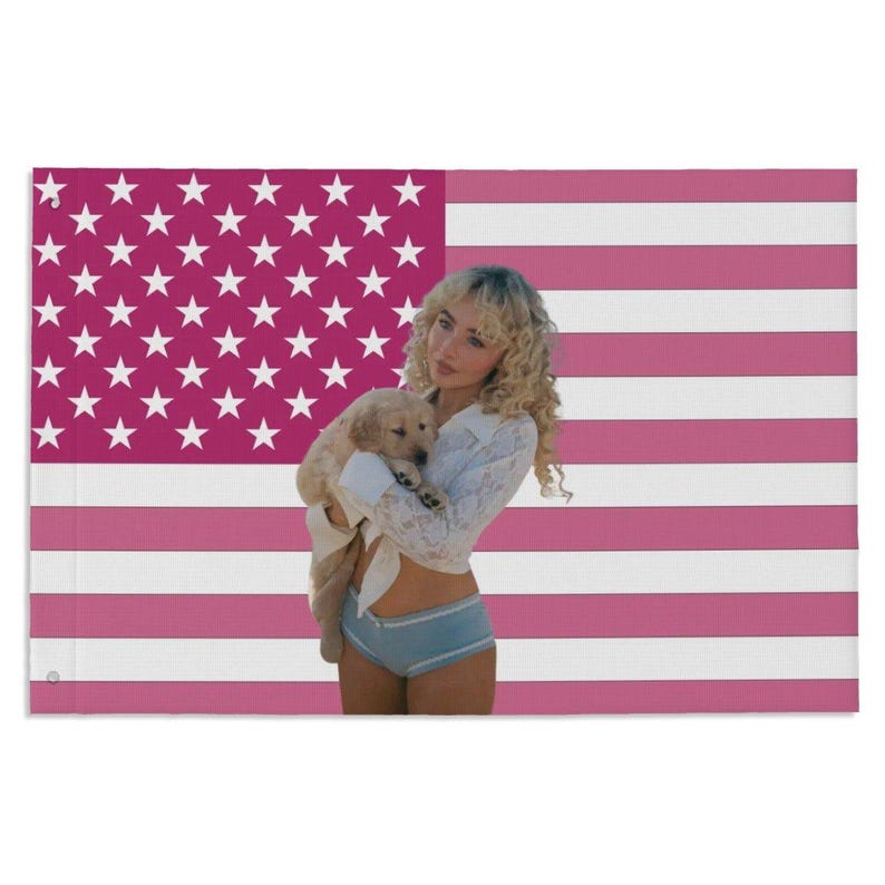 sabrina-carpenter-pink-american-flag-print-pop-singer-wall-art