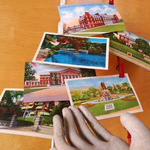 6 Vintage New York Postcards, Unused. Scenes of Albany, New York