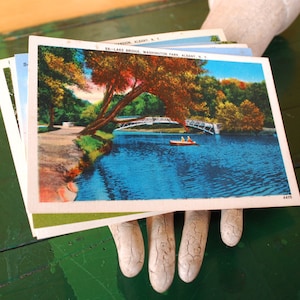 Postal antigua: Puente del lago, Washington Park, Albany, NY