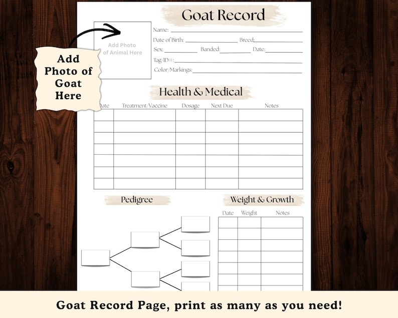 Puede incluir: Una p&aacute;gina imprimible de registro de cabras con secciones para nombre, fecha de nacimiento, salud y peso. Incluye espacio para agregar una foto de la cabra. El texto "Goat Record Page, print as many as you need!" est&aacute; en la parte inferior.