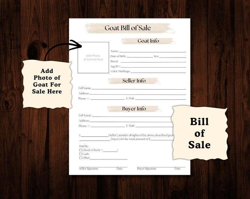 Puede incluir: Un documento blanco "Goat Bill of Sale" con secciones para informaci&oacute;n de cabras y vendedores. Incluye &aacute;reas para agregar una foto de la cabra y detalles del comprador. Las palabras "Bill of Sale" est&aacute;n en una etiqueta decorativa separada.