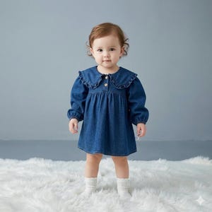 white christmas dresses Floral Peter Pan Collar Denim Dress – Ragstock main image 0