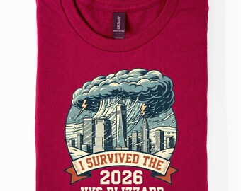 2026 sneeuwstorm NYC Survivor Tee, grappig T-shirt cadeau, cadeau voor haar, T-shirt cadeau voor hem, sneeuwstorm sweatshirt, New York overleefde storm Tee