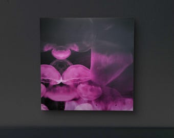 12x12 Canvas Photo Print - Jelly