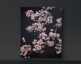 16x20 Canvas Photo Print- Dogwood
